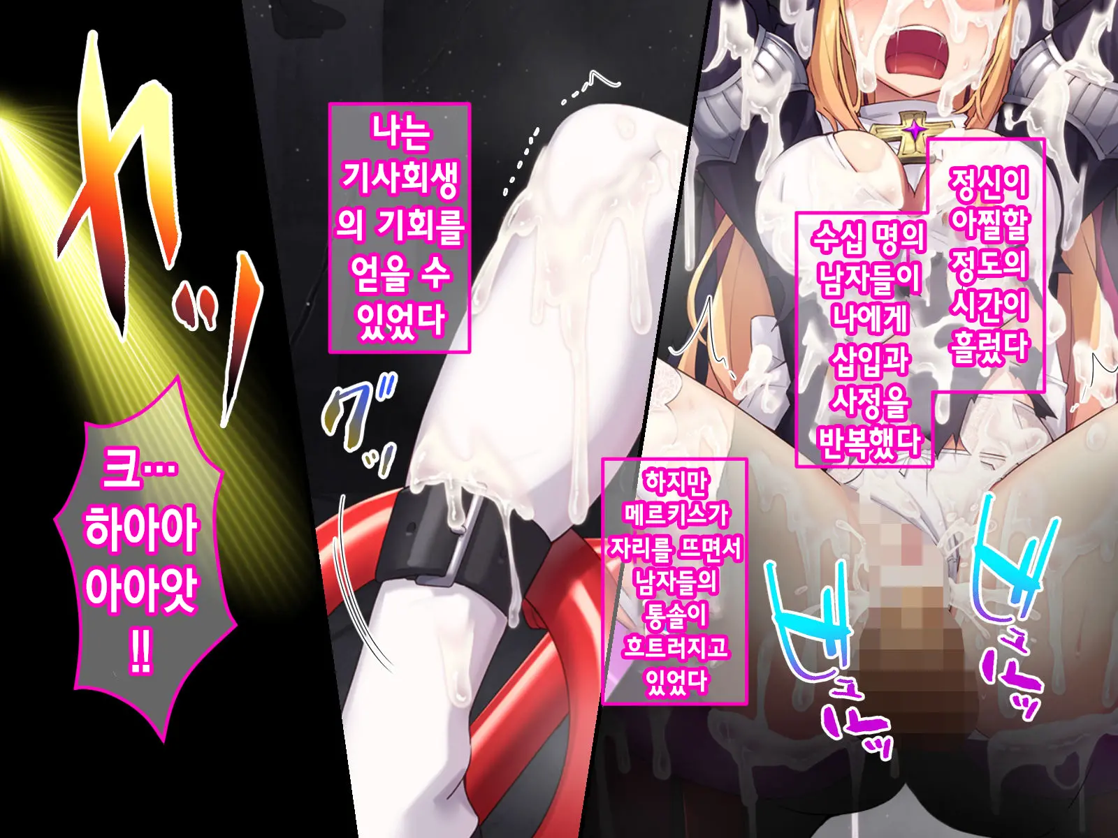 퇴마수녀 샤를로트~악마에 더럽혀지는 성결과 성전~